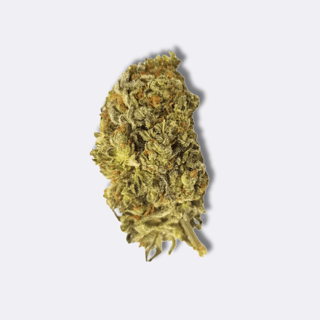 🎁 FREE GIFT | Og Sour - CBD Blüte (100% off) - Nature Labs